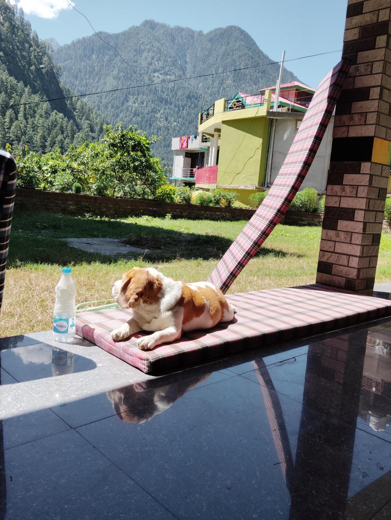 Dog N Hill Hotel Касол Екстериор снимка
