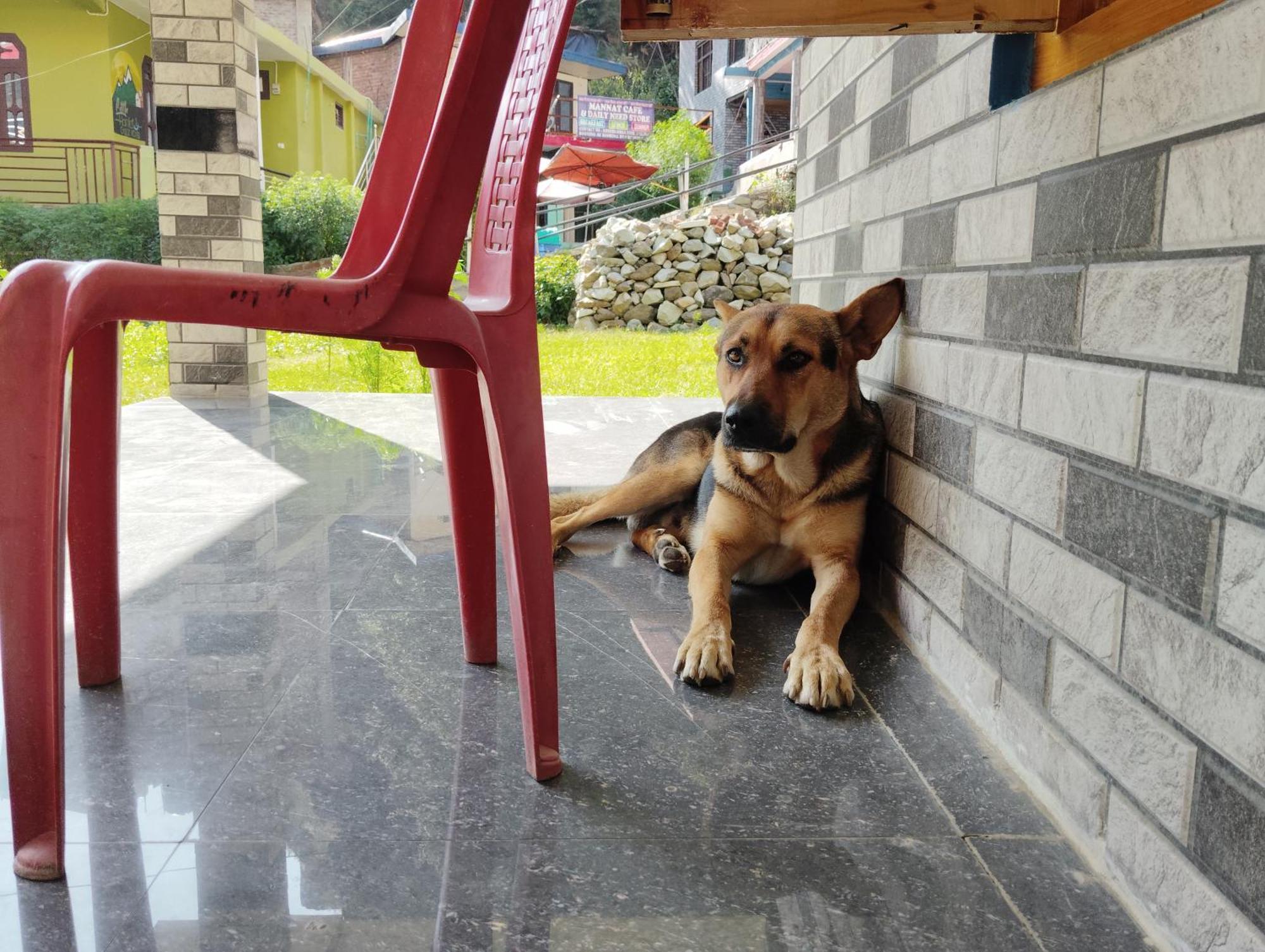 Dog N Hill Hotel Касол Екстериор снимка