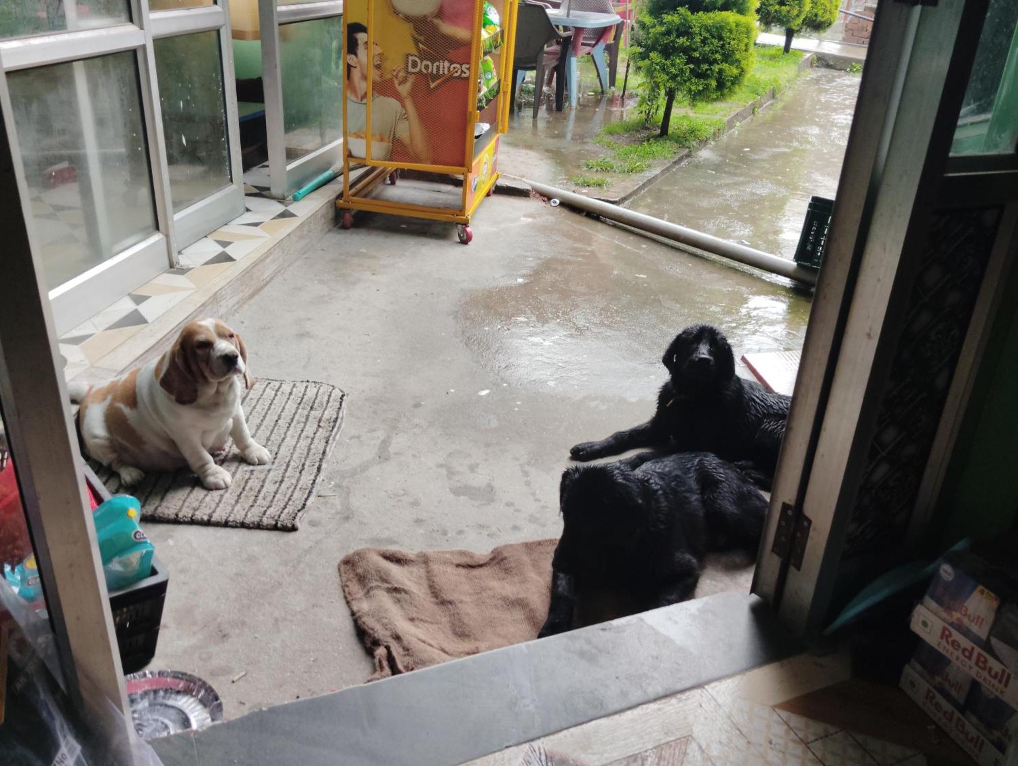 Dog N Hill Hotel Касол Екстериор снимка